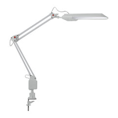 Настольная лампа Heron II LED W белая цена и информация | Настольные светильники | pigu.lt