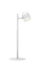 Настольная лампа, белый RAWI -318381 цена и информация | Настольные светильники | pigu.lt