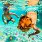 Nardymo - baseino žaislų rinkinys Akone, 62 vnt. kaina ir informacija | Vandens, smėlio ir paplūdimio žaislai | pigu.lt