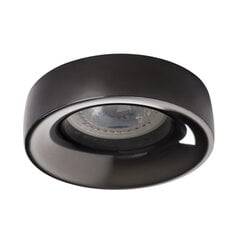 Kanlux lubinis šviestuvas Elnis L A kaina ir informacija | Lubiniai šviestuvai | pigu.lt