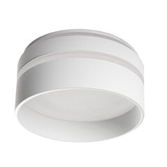 Круглый светильник GOVIK-ST DSO W белый цена и информация | Потолочные светильники | pigu.lt