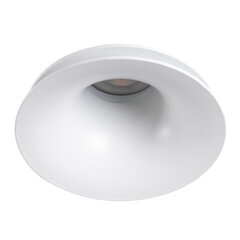Круглый светильник AJAS DSO W белый цена и информация | Потолочные светильники | pigu.lt
