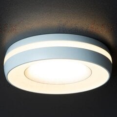 ELICEO lubinis šviestuvas DSO W/W цена и информация | Потолочные светильники | pigu.lt