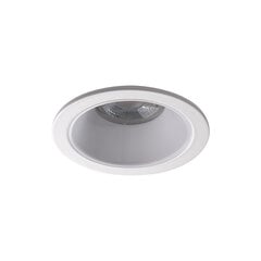 Круглый светильник GLOZO DSO W/W цена и информация | Потолочные светильники | pigu.lt