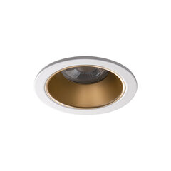 Круглый светильник GLOZO DSO G/W цена и информация | Потолочные светильники | pigu.lt