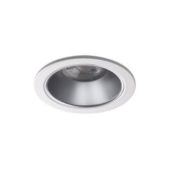Круглый светильник GLOZO DSO SR/W цена и информация | Потолочные светильники | pigu.lt