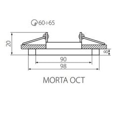 Стеклянный светильник MORTA OCT-SR цена и информация | Потолочные светильники | pigu.lt