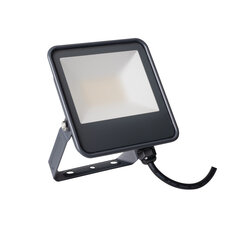 Светодиодный прожектор IQ-LED FL 30W NW Kanlux цена и информация | Фонари и прожекторы | pigu.lt