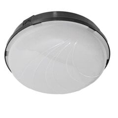 Круглый светильник Panda 3175CM цена и информация | Потолочные светильники | pigu.lt