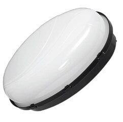 Овальный светильник Panda 3176CM цена и информация | Потолочные светильники | pigu.lt
