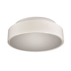 Круглый светильник Dione 3140M белый цена и информация | Потолочные светильники | pigu.lt