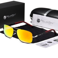 Poliarizuoti akiniai Uv400 Nerdy PolarSky цена и информация | Солнцезащитные очки для мужчин | pigu.lt