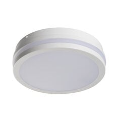 Kanlux lubinis šviestuvas Beno цена и информация | Потолочные светильники | pigu.lt