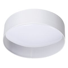 Plafond lubinis šviestuvas Rifa Led WW W/W цена и информация | Потолочные светильники | pigu.lt