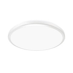 Светодиодный плафон герметичный PLANAR LED 24W WHITE NW цена и информация | Потолочные светильники | pigu.lt