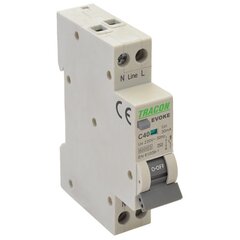 Автоматический выключатель остаточного тока с электронным фронтом 10A B 2P EVOKEB1003 цена и информация | Выключатели, розетки | pigu.lt