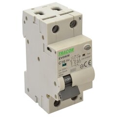 Автоматический выключатель остаточного тока с модулем 25A B 2P EVOKM2B2503 цена и информация | Выключатели, розетки | pigu.lt