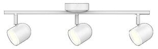 Подвижный настенно-потолочный светильник, белый RAWI 3 - 318329 цена и информация | Потолочные светильники | pigu.lt