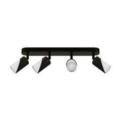 Настенно-потолочный светильник ZEBRA SPT GU10 4L BLACK/WHITE цена и информация | Потолочные светильники | pigu.lt