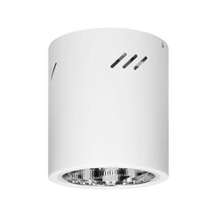 Круглый светильник KORIN 16 E27 белый OR-OD-6181WE27 цена и информация | Настенные светильники | pigu.lt