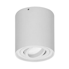 Круглый светильник CAROLIN DLR белый OR-OD-6146WGU10 цена и информация | Настенные светильники | pigu.lt