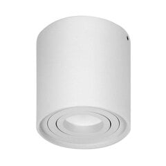 Круглый светильник CAROLIN DLR белый OR-OD-6146WGU10 цена и информация | Настенные светильники | pigu.lt