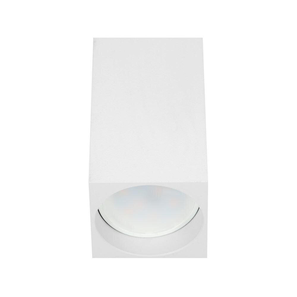 Barbra sieninis šviestuvas DLS kaina ir informacija | Sieniniai šviestuvai | pigu.lt