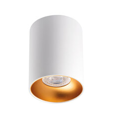 Потолочный светильник RITI GU10 W/G белое золото цена и информация | Потолочные светильники | pigu.lt