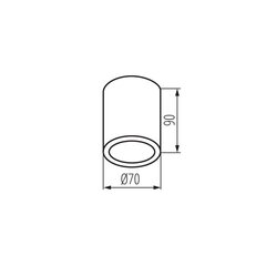 Светильник накладной AQILO IP65 DSO-B 33361 цена и информация | Потолочные светильники | pigu.lt