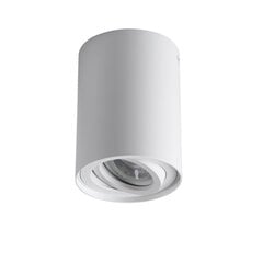 Потолочный светильник GORD XS DLP-50-W цена и информация | Потолочные светильники | pigu.lt