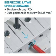 Viršįtampių jungiklis Legrand 196957201 kaina ir informacija | Elektros jungikliai, rozetės | pigu.lt