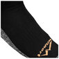Kojinės vyrams Wisport, įvairių spalvų kaina ir informacija | Vyriškos kojinės | pigu.lt
