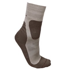 Kojinės vyrams Wisport, smėlio spalvos цена и информация | Мужские носки | pigu.lt
