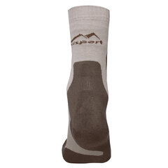 Kojinės vyrams Wisport, smėlio spalvos kaina ir informacija | Vyriškos kojinės | pigu.lt