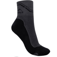 Kojinės vyrams Wisport, juodos kaina ir informacija | Vyriškos kojinės | pigu.lt