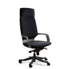 Эргономичное кресло Apollo, черный/черный цена и информация | Офисные кресла | pigu.lt