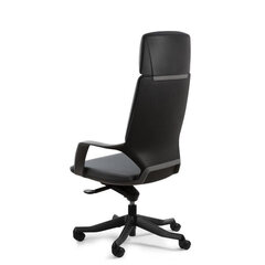 Эргономичное кресло Apollo, черный/черный цена и информация | Офисные кресла | pigu.lt