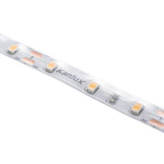 LED juosta L60 11W/M 12 IP65 NW kaina ir informacija | LED juostos | pigu.lt