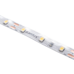 LED juosta L60 11W/M 12 IP65 CW kaina ir informacija | LED juostos | pigu.lt