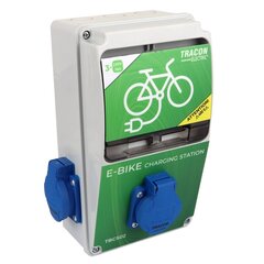 Elektrinių dviračių įkrovimo stotelė Schuko kaina ir informacija | Akumuliatorių krovikliai | pigu.lt