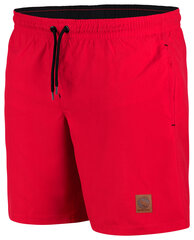 Maudymosi šortai vyrams Stark Soul 1019k, raudoni цена и информация | Плавки, плавательные шорты | pigu.lt