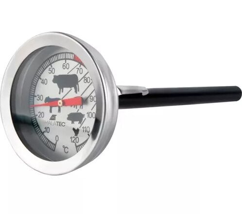 Bituminis kepimo termometras, 5.1 x 14.5 cm, pilkas kaina ir informacija | Grilio, šašlykinių priedai ir aksesuarai  | pigu.lt