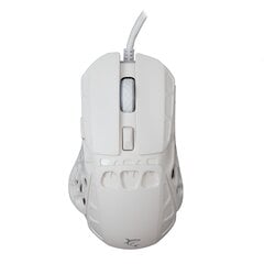 Компьютерная мышь White Shark GM-5016 Ector White цена и информация | Мыши | pigu.lt