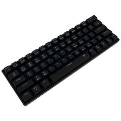 Клавиатуру White Shark Premium Line GK-003111 Kaiken US цена и информация | Клавиатуры | pigu.lt