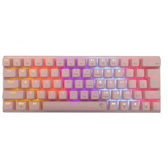 Переключатели White Shark GK-002421 Wakizashi Pink, США, синие цена и информация | Клавиатуры | pigu.lt