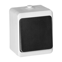 Однополюсный выключатель AQUATIC MINI IP54 белый/черный цена и информация | Выключатели, розетки | pigu.lt