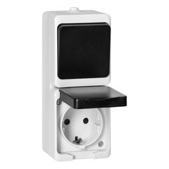 Однополюсный выключатель + 2P+Z розетка Schuko AQUATIC MINI IP54 белый и черный цена и информация | Выключатели, розетки | pigu.lt