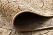 Rugsx kilimas Karmel Tronko 80x460 cm kaina ir informacija | Kilimai | pigu.lt