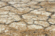 Rugsx kilimas Karmel Terra 70x520 cm kaina ir informacija | Kilimai | pigu.lt