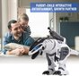 Dinozaurų robotas vaikams Harmony Hill's AFF73 kaina ir informacija | Žaislai berniukams | pigu.lt